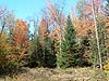 Adirondack Land Adirondack Bloomingdale New York