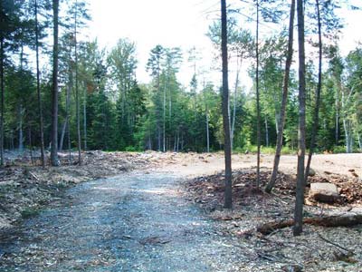 Land Adirondacks