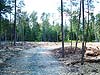 Adirondack Acreage Land Adirondack Land Bloomingdale New York