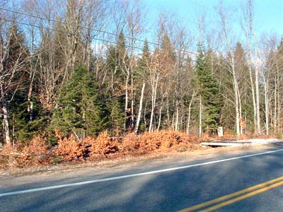 Land Adirondacks