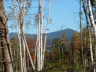 Land Adirondacks