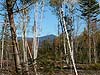 Acreage Adirondack Land Adirondack Bloomingdale NY