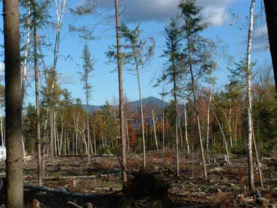 Land Adirondacks