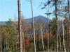 Adirondack Land Adirondack Acres Bloomingdale New York
