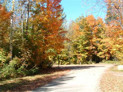 New York Land