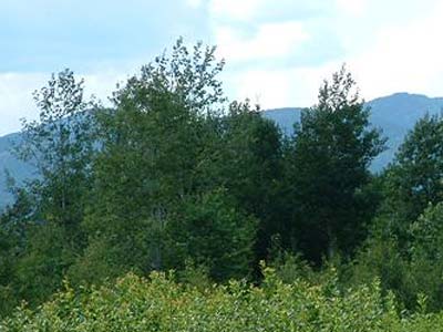Land Adirondacks