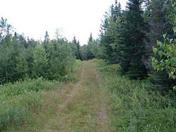 Enlarged view of image