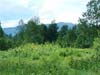 Adirondack  NY Merrillsville Land Adirondack Lots