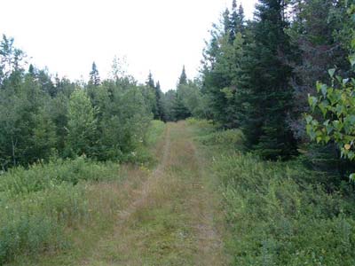New York Adirondack Land