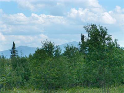 NY Land Adirondacks