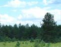Lots Merrillsville