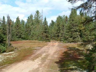 real estate adirondacks