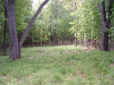 Land Adirondacks