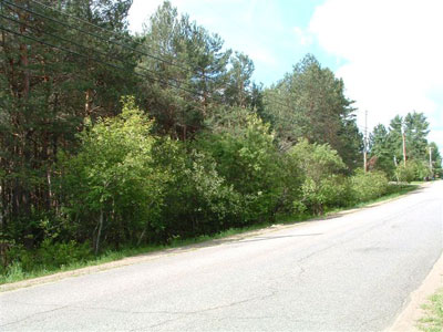 land real estate adirondacks