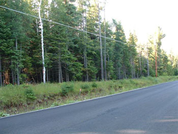Enlarged view of image
