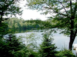 Enlarged view of image