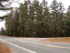 Acreage Land Adirondack Land