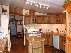 Enlarged view of image