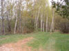 Acreage Land Adirondack Land