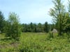 Adirondack  Vermontville Land Adirondack Acreage New York