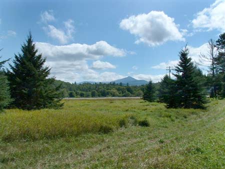 real estate adirondacks