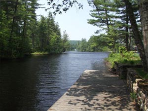 Enlarged view of image