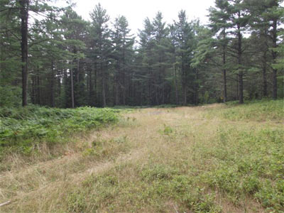 real estate adirondacks