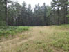 Adirondack Land Adirondack Onchiota New York