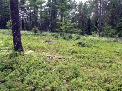 Onchiota Adirondacks