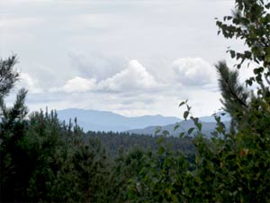 Enlarged view of image
