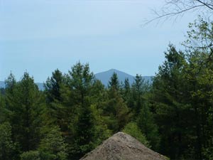 Enlarged view of image