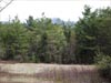 Adirondack Land Adirondack Vermontville New York