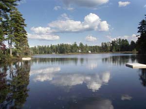 Enlarged view of image
