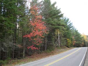 Enlarged view of image
