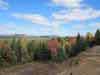 Harrietstown Acreage Adirondack Land