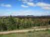 Harrietstown Acreage Adirondack Land