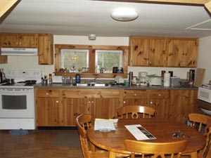 Enlarged view of image