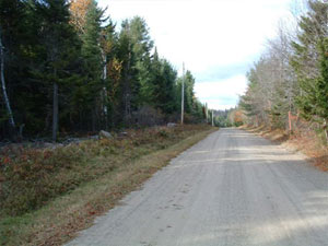 Enlarged view of image