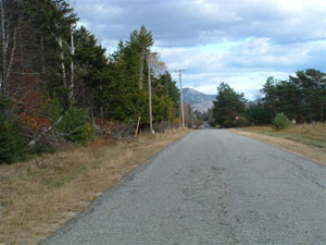 Enlarged view of image