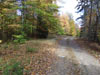 Acreage Loon Lake Adirondack Land