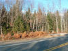 Rainbow Lake Adirondack Land