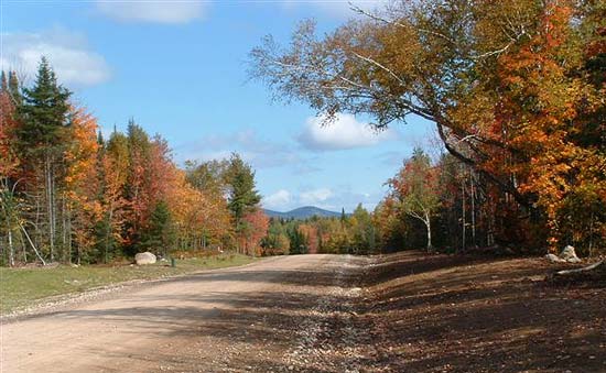 real estate adirondacks