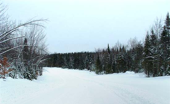 Land Merrillsville